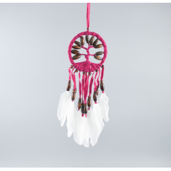 Dream catcher "TREE OF LIFE"
