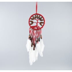 Dream catcher "TREE OF LIFE"