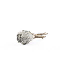 WHITE SAGE - Bílá šalvěj...