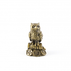 Owl with Coins