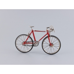 Kovový športový bicykel