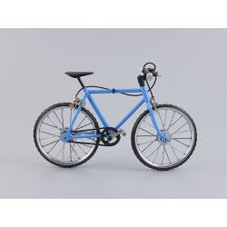 Mountain Bicycle Blue