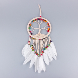 Dream catcher