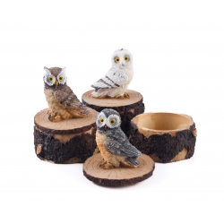 Owls (3 pcs)