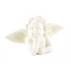 Angel in a Half-belt