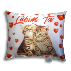 Decorative pillow "Out of...